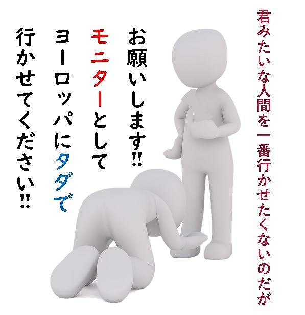ヨーロッパ　モニター　無料　合格