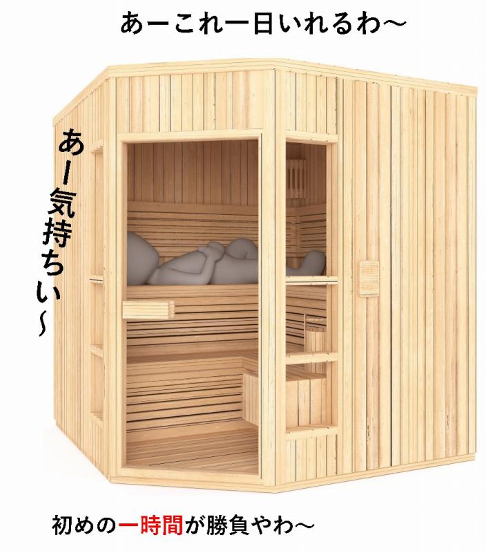 フィンランド　サウナ