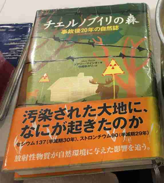 チェルノブイリ　事故