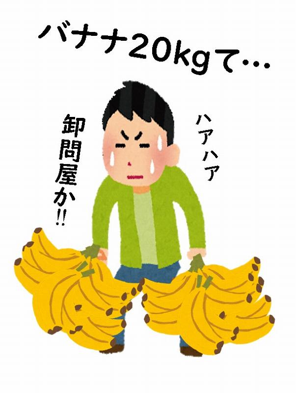 スロヴェニア　旅行記　旅