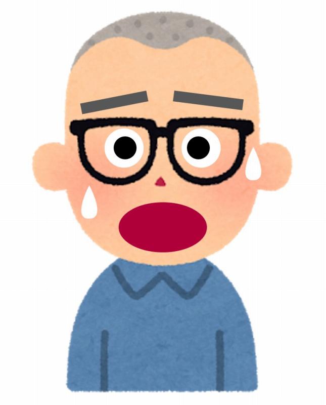 ヨーロッパ ブログ