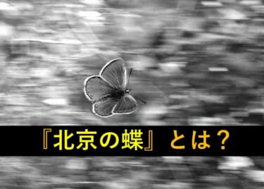 【おもしろい豆知識】カオス理論で使われる『北京の蝶』