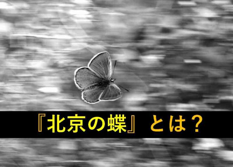 おもしろい豆知識 カオス理論で使われる 北京の蝶 旅をする記