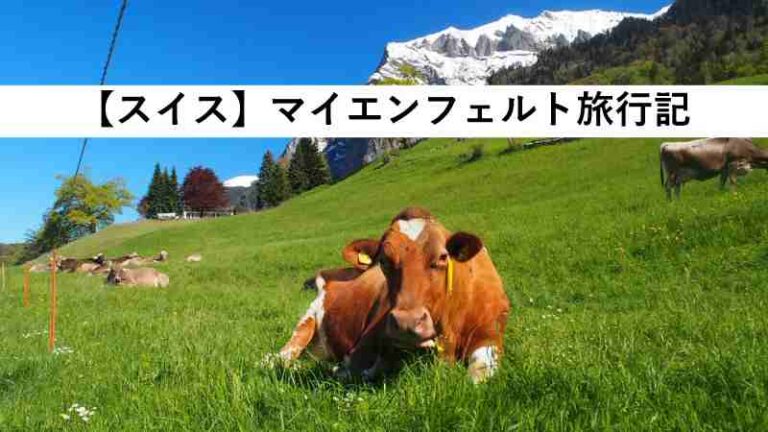 スイス　マイエンフェルト　旅行記