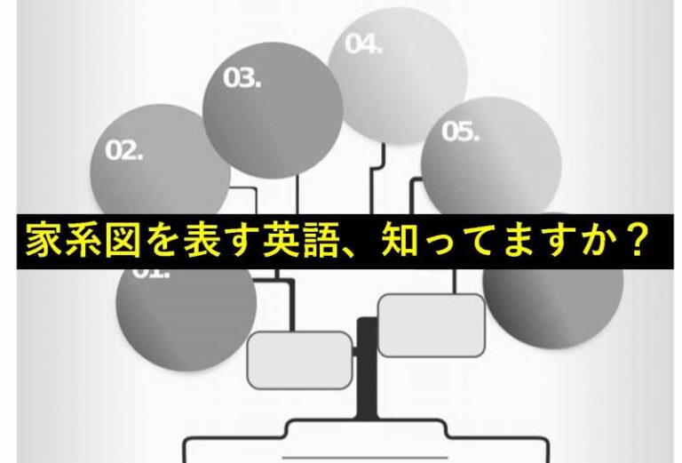 イメージ通りのおもしろい英語 家系図 は英語で何という 旅をする記