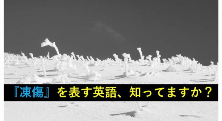 凍傷　英語