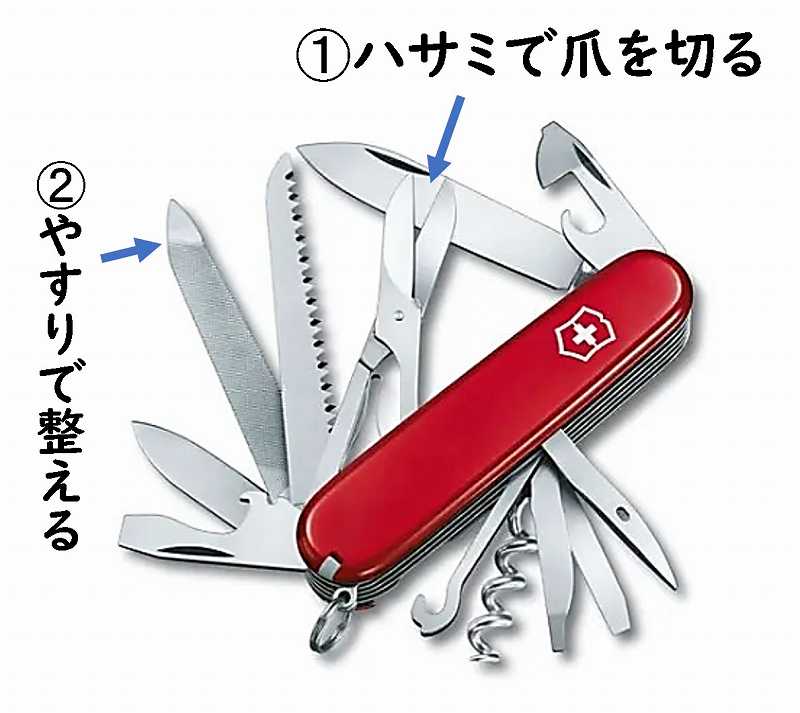 チェコ　プラハ　ブログ