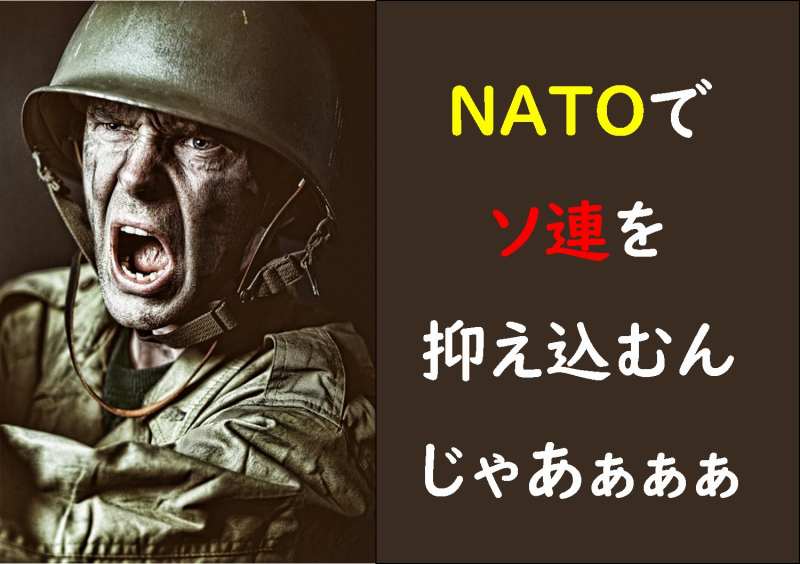 NATO WTO 違い