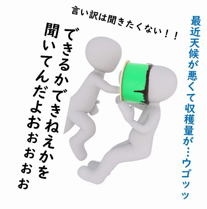ソ連　農業の集団化