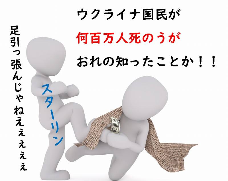 ソ連　農業の集団化