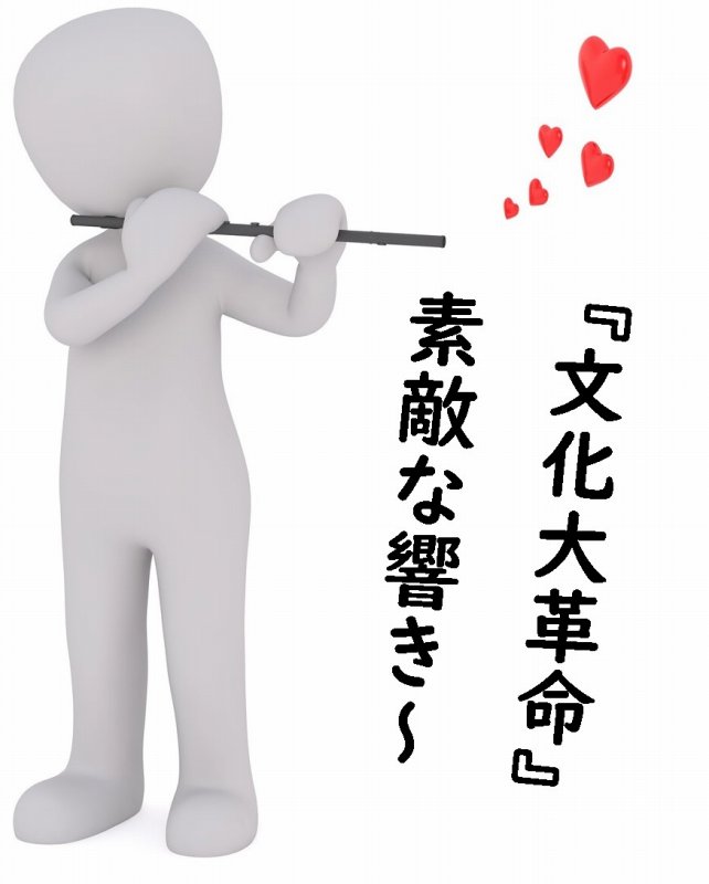 文化大革命　中国　毛沢東