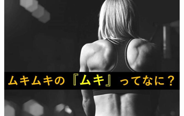 ムキムキ　ドイツ語