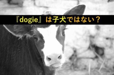 【おもしろい豆知識】＂dogie＂は『小犬』ではない？