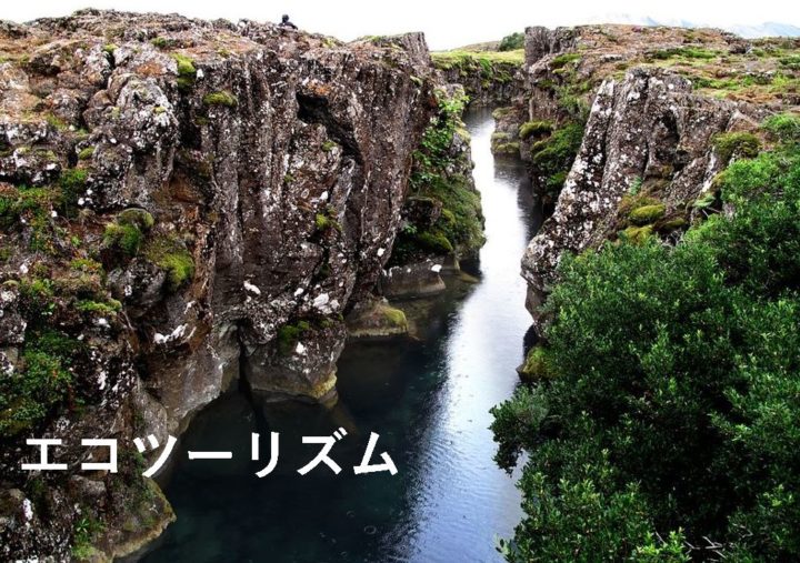 エコツーリズム
