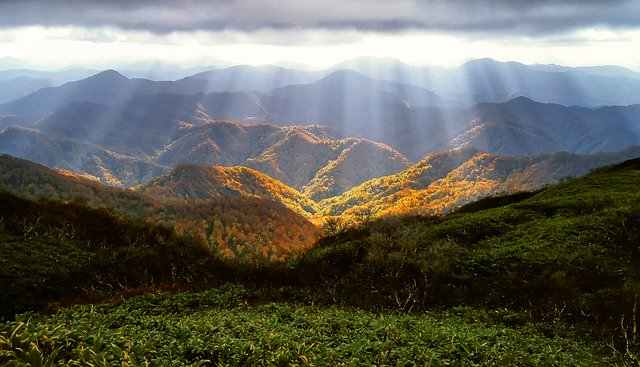 白神山地　世界遺産