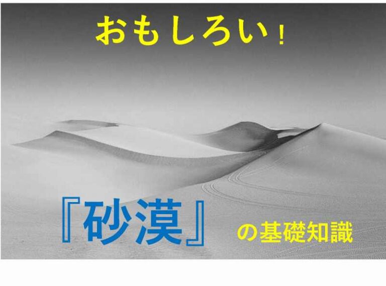 砂漠　知識