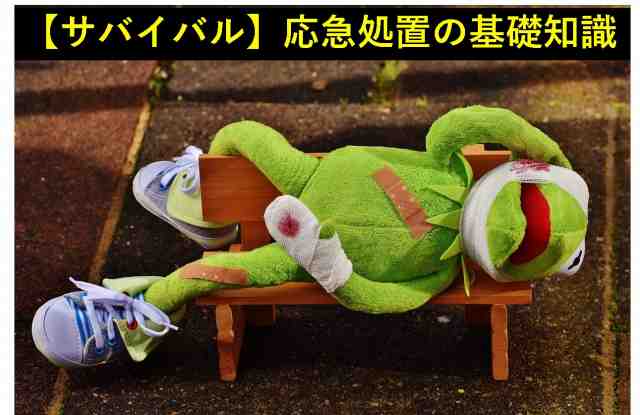 サバイバル　応急処置