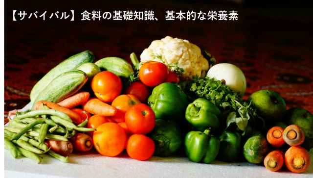 サバイバル　栄養　食料