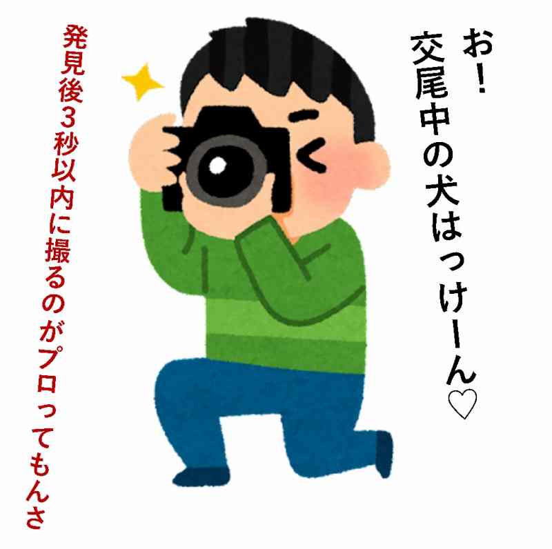 カメラ　ポジション　アングル