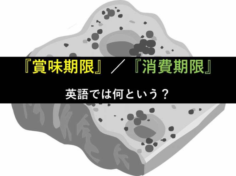 賞味期限　消費期限