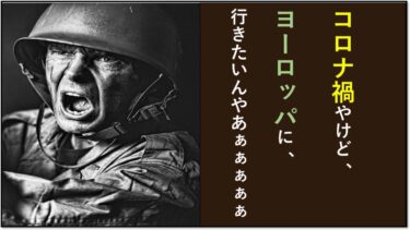 【一度は見とけ！】コロナ禍で海外旅行するための手引き