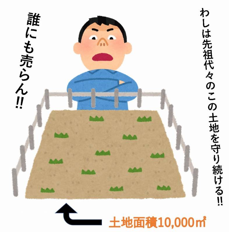 土地面積　敷地面積