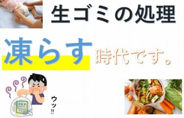 生ゴミ　ゴミ箱　処理　冷凍