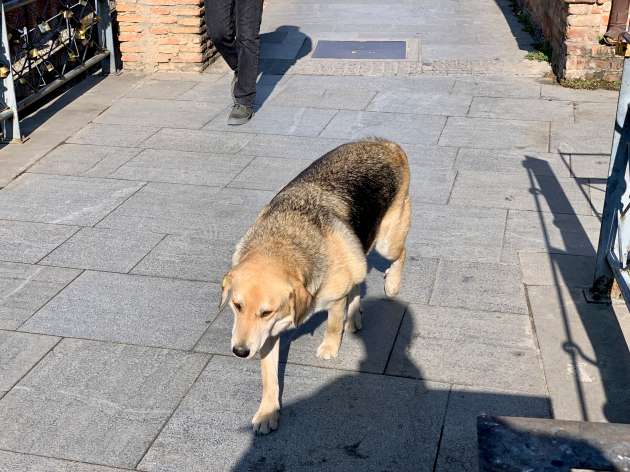 tbilisi-georgia-blog40
