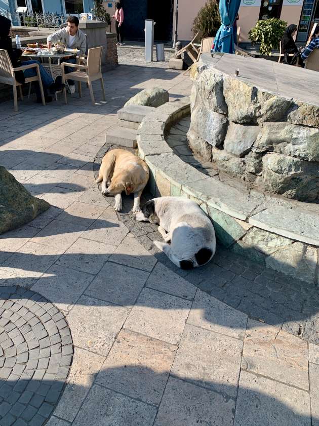 tbilisi-georgia-blog42
