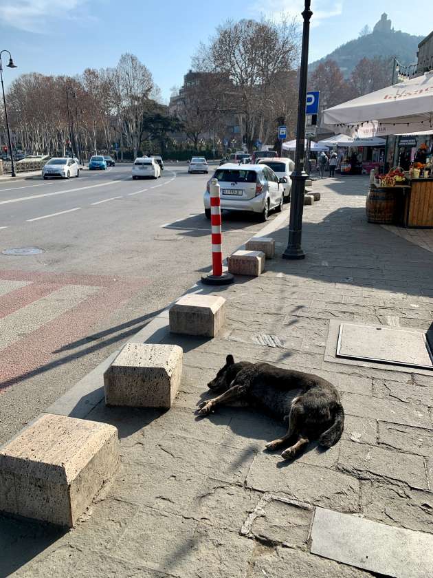 tbilisi-georgia-blog43